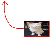 a picture of a cat with its tongue out and an arrow pointing upwards