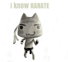 a picture of a karate cat with the words " i know karate " above it