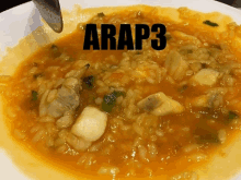 a plate of food with the word arap3 on the top