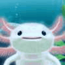 a white axolotl with pink ears is swimming in the water and smiling .