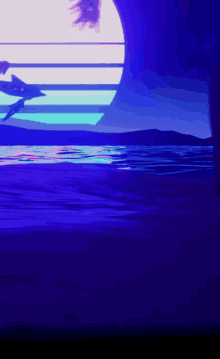 a dolphin is swimming in the ocean in a purple light