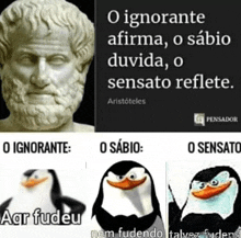 a picture of a statue of aristoteles next to a picture of three penguins and a quote from aristoteles