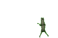 a frog is jumping in the air with its arms outstretched