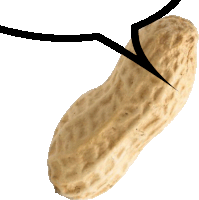 a peanut with an arrow pointing to it