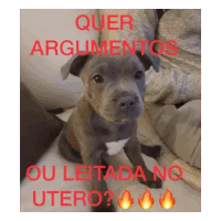 a picture of a puppy with the words " quer argumentos ou leitada no utero "