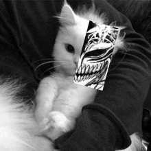 a black and white photo of a person holding a small white cat