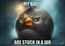 an angry bird with the words my balls are stuck in a jar below it