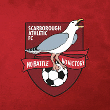 scarborough athletic fc logo with a seagull standing on a soccer ball