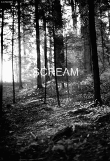 a black and white photo of a forest with the word scream written on the bottom