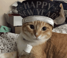 a cat wearing a happy new year hat and holding a bottle