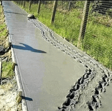 a turtle is walking along a concrete walkway