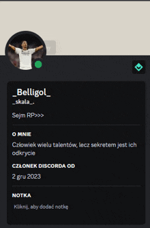 a screenshot of a person 's profile which says belligol