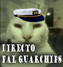 a white cat wearing a captain 's hat with the words directo pal guarchips below it