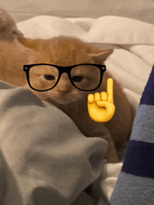 a cat wearing glasses laying on a bed next to a rock sign