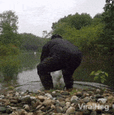 a man in a black jacket stands on a rocky shore next to a body of water with the word viralhog on the bottom right