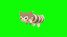 a brown and white striped cat is walking on a green screen .