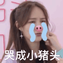 a woman with a pig nose and tears on her face .