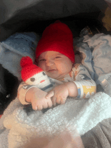 a baby wearing a red hat is holding a stuffed animal