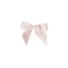 a pink ribbon bow on a white background .