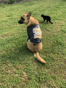 a dog wearing a shirt that says y'all need jerky