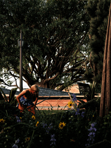 a woman in a blue dress stands in a garden with flowers