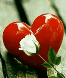 a red heart with a white rose in it is on a wooden table .