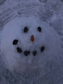 a snowman with a carrot nose and black feet