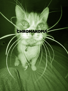 a cat with long whiskers and the word chromakopia on the top