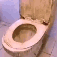 a close up of an empty toilet in a bathroom .