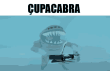 a picture of a shark with the word cupa cabra on it