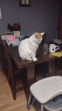 a cat sits on a wooden table next to a cup that says coffee