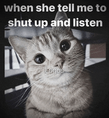 a black and white photo of a cat with the caption when she tell me to shut up and listen