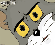 a cartoon of a cat with yellow eyes and the words " what the " above it