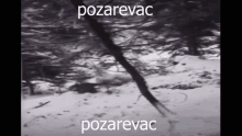 a black and white photo with the word pozarevac in white