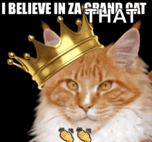 a cat wearing a crown with the words i believe in za grand cat that