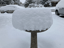 a bird bath is covered in snow in a snowy driveway