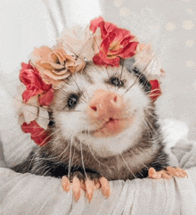 an opossum wearing a flower crown on its head looks at the camera