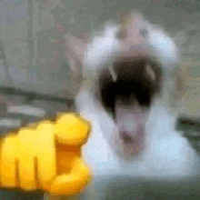 a blurry picture of a cat with its mouth open and a yellow fist pointing to it .