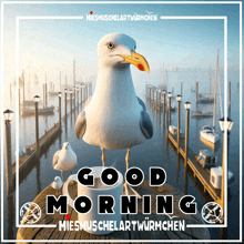 a seagull standing on a dock with the words good morning