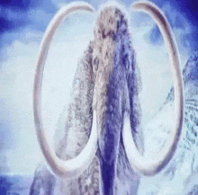 a close up of a mammoth with large tusks standing in front of a mountain .