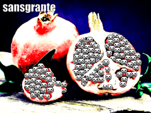 a picture of a pomegranate with skulls on it and the words sansgrante on the top