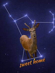 a deer standing in front of a constellation with the words sweet home below it