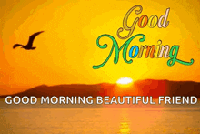 a good morning beautiful friend with a bird flying over the ocean