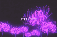 purple flowers and the word rules in white letters on a black background