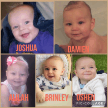 a collage of four babies with the names joshua damien allah brinley and ushen