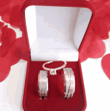 a couple of rings in a red box