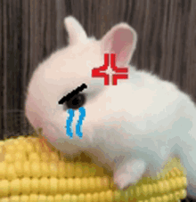 a white rabbit is sitting on a corn on the cob with tears running down its face