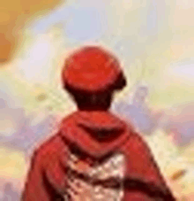 the back of a person wearing a red hat and a red jacket .