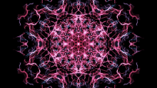 a kaleidoscope of pink and purple lines on a black background