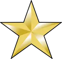 a gold star with a black outline and a shiny finish